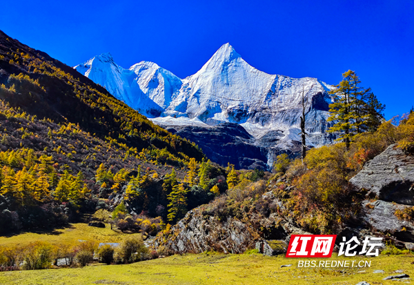 亚丁18.png 亚丁18.png