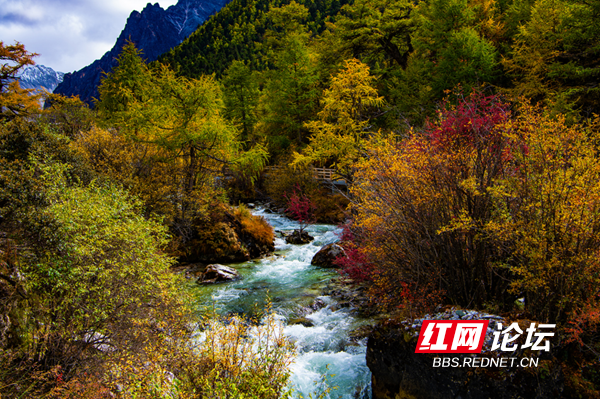 亚丁9.png 亚丁9.png