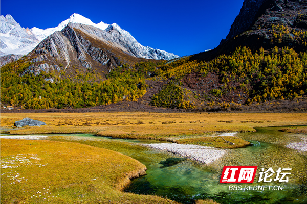 亚丁17.png 亚丁17.png