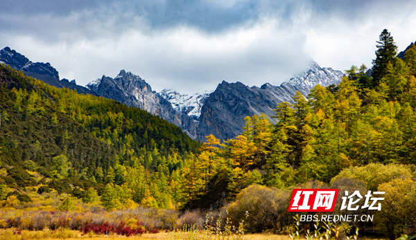 亚丁4.png 亚丁4.png