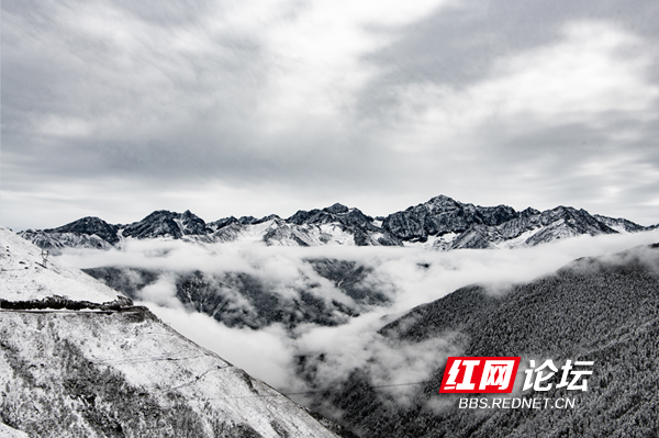 四姑娘2.png 四姑娘2.png