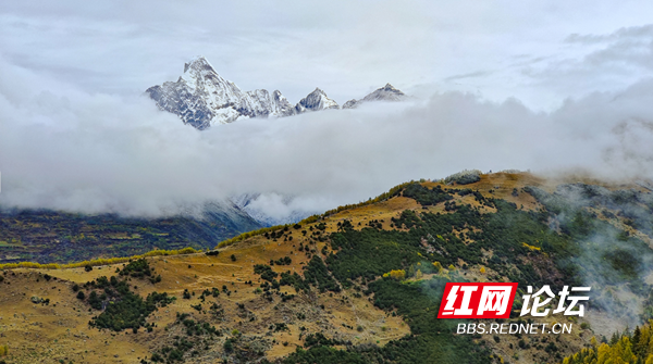 四姑娘8.png 四姑娘8.png