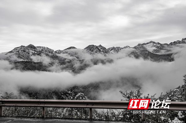 四姑娘5.png 四姑娘5.png