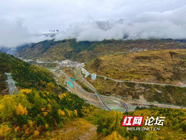 四姑娘9.png 四姑娘9.png