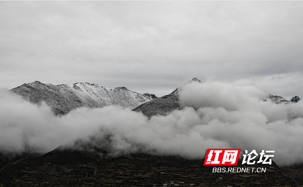 四姑娘11.png 四姑娘11.png