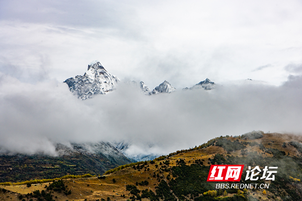 四姑娘7.png 四姑娘7.png