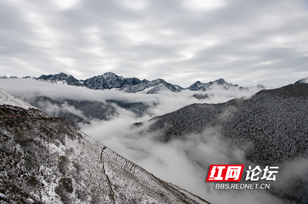 四姑娘4.png 四姑娘4.png