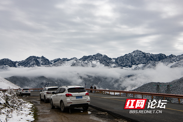 四姑娘3.png 四姑娘3.png