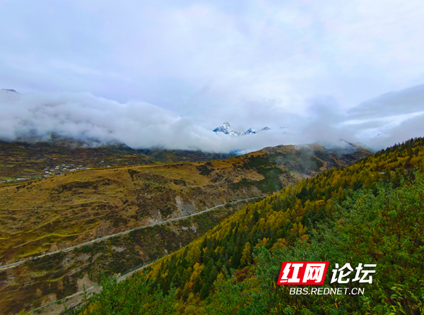 四姑娘10.png 四姑娘10.png