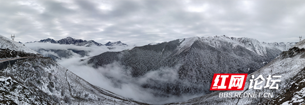 四姑娘1.png 四姑娘1.png