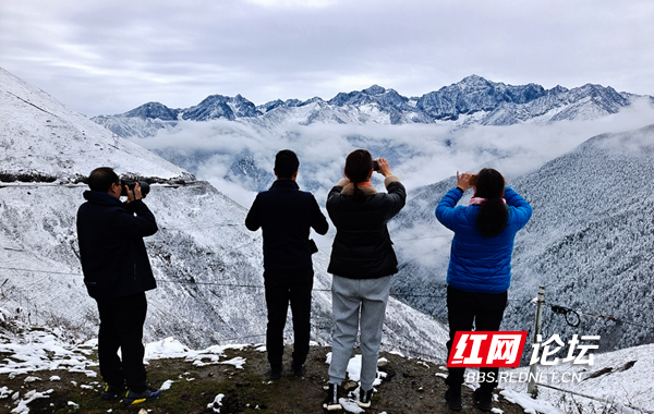 四姑娘6.png 四姑娘6.png