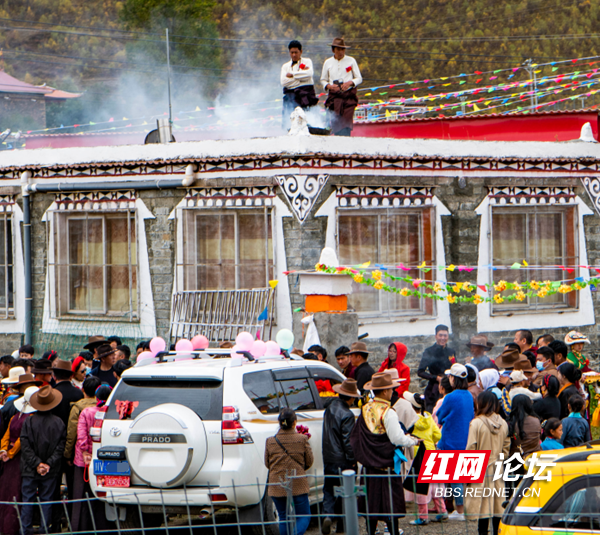 新都10.png 新都10.png