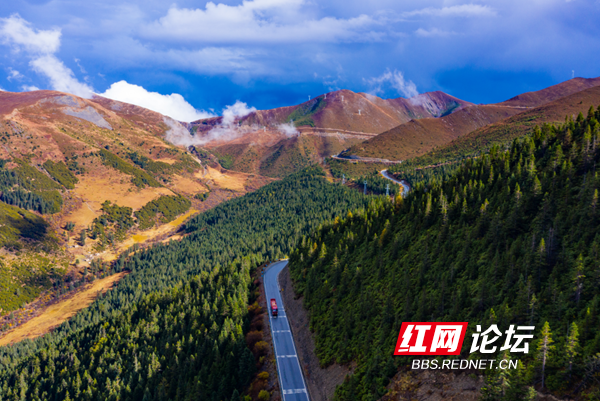 新都2.png 新都2.png