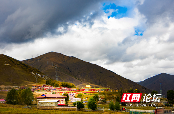 新都4.png 新都4.png