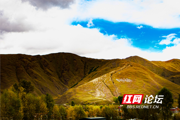 新都3.png 新都3.png