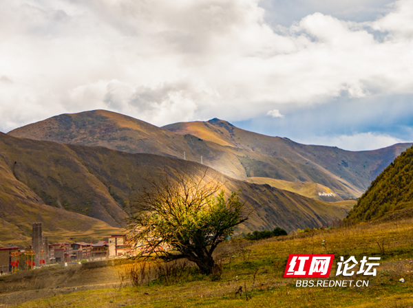 新都5.png 新都5.png