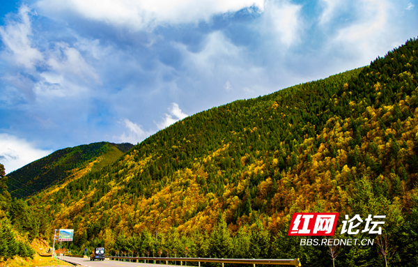 新都7.png 新都7.png