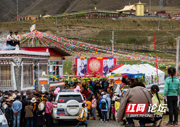 新都9.png 新都9.png