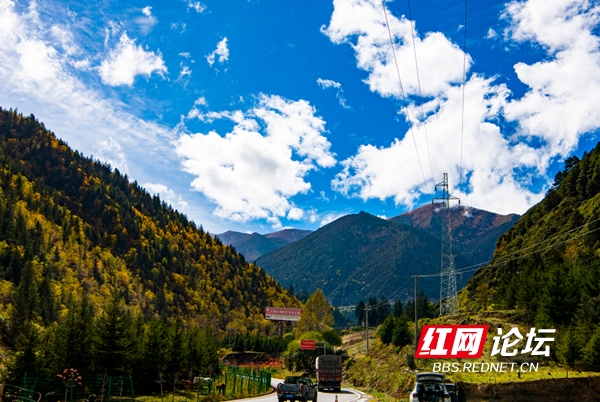 新都6.png 新都6.png