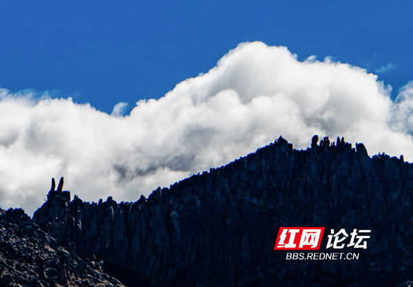 兔儿山7.png 兔儿山7.png