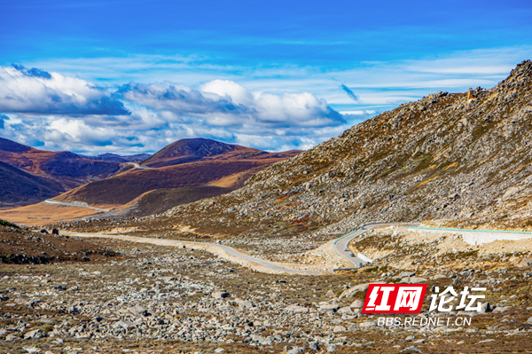 兔儿山3.png 兔儿山3.png