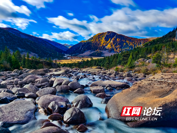 兔儿山4.png 兔儿山4.png