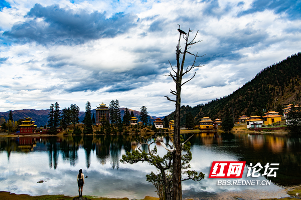 措卡湖1.png 措卡湖1.png