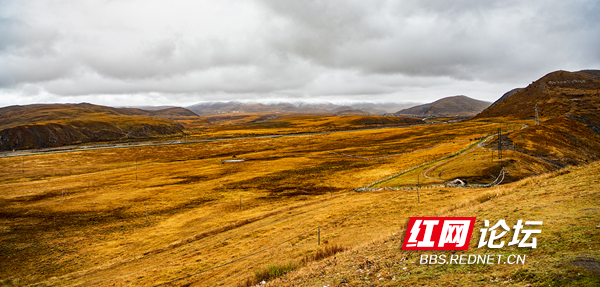 木雅4.png 木雅4.png