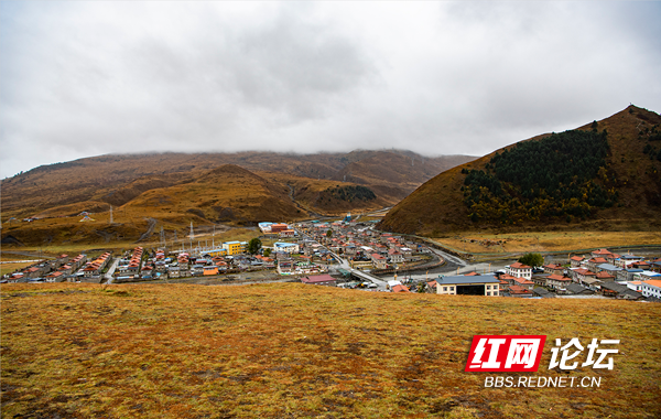 木雅9.png 木雅9.png