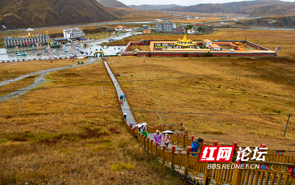 木雅8.png 木雅8.png