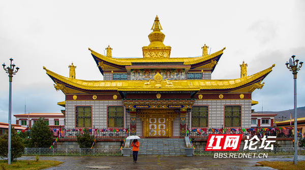 木雅1.png 木雅1.png