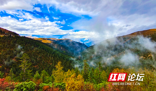 川藏8.png 川藏8.png