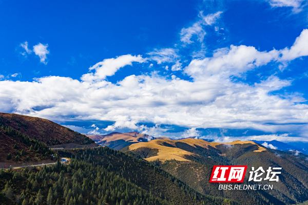 川藏13.png 川藏13.png