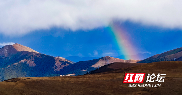 川藏10.png 川藏10.png