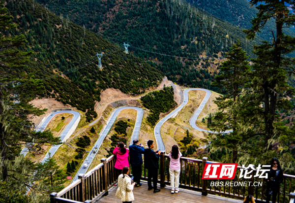 川藏12.png 川藏12.png