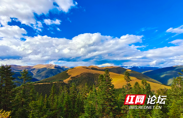 川藏9.png 川藏9.png