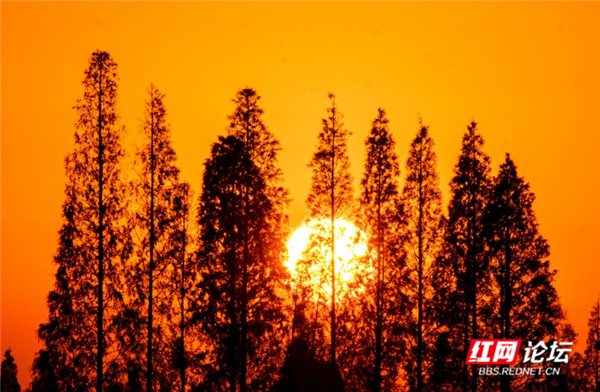 5_副本.jpg 5_副本.jpg