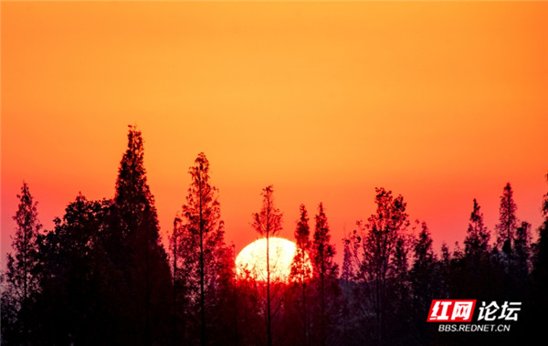 6_副本.jpg 6_副本.jpg