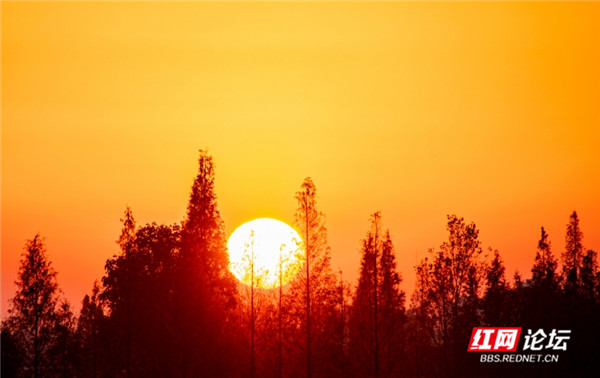 3_副本.jpg 3_副本.jpg