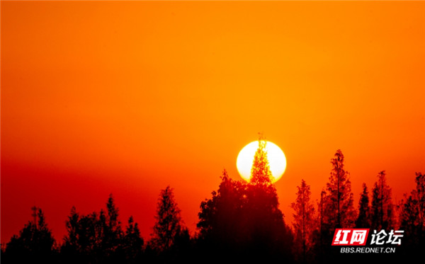 1_副本.jpg 1_副本.jpg