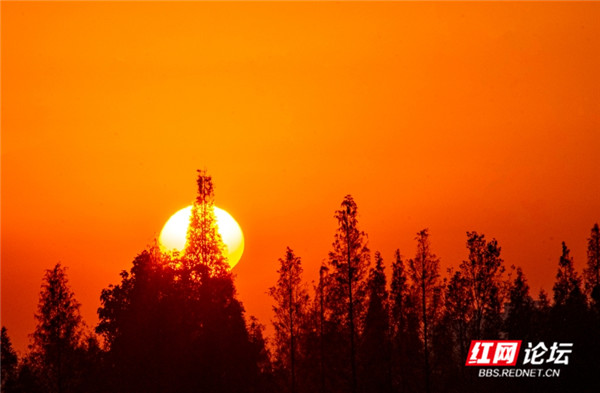 2_副本.jpg 2_副本.jpg