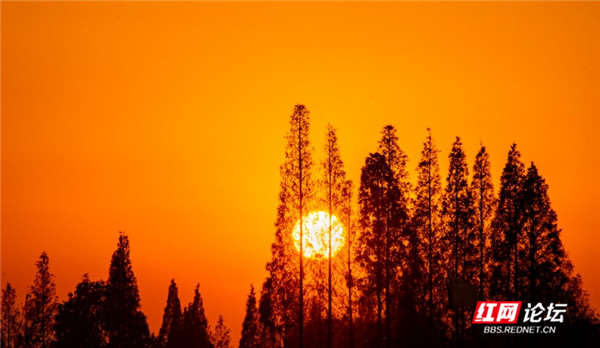 4_副本.jpg 4_副本.jpg