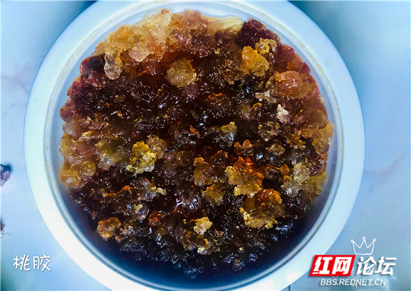 1_副本1.jpg 1_副本1.jpg