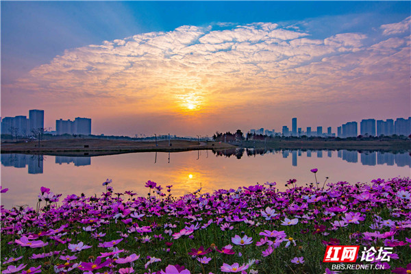 1_副本2.jpg 1_副本2.jpg