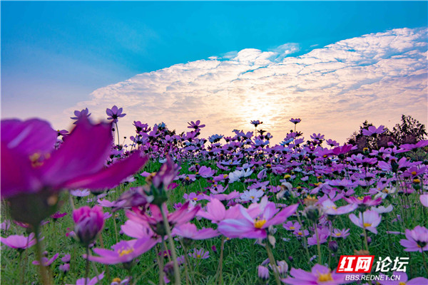 4_副本3.jpg 4_副本3.jpg