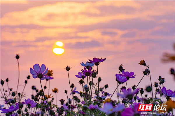 8_副本1.jpg 8_副本1.jpg