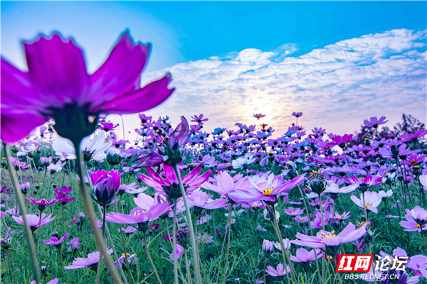 10_副本1.jpg 10_副本1.jpg