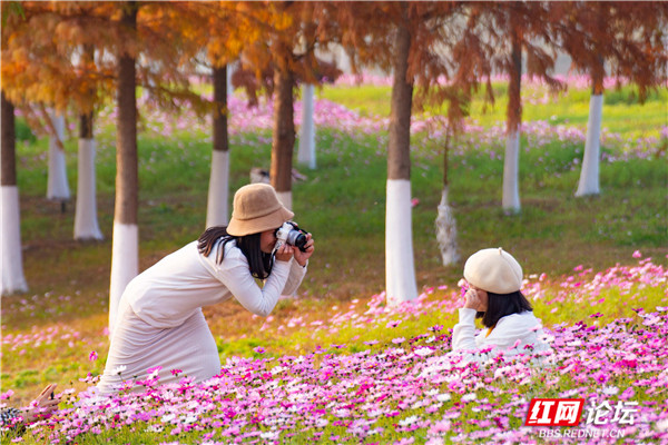 7_副本.jpg 7_副本.jpg