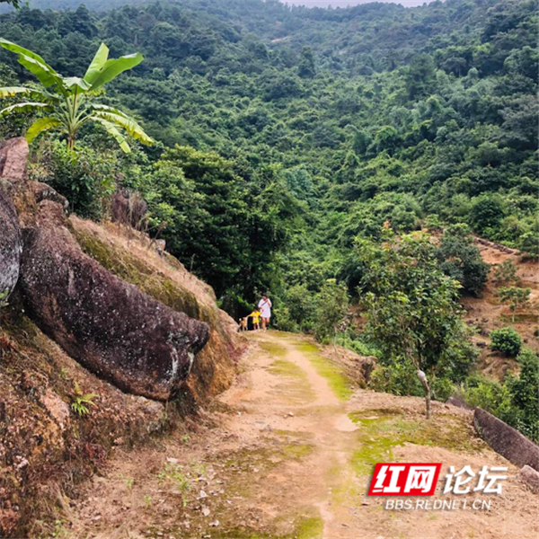 3_副本.png 3_副本.png