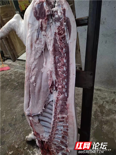 4_副本.jpg 4_副本.jpg